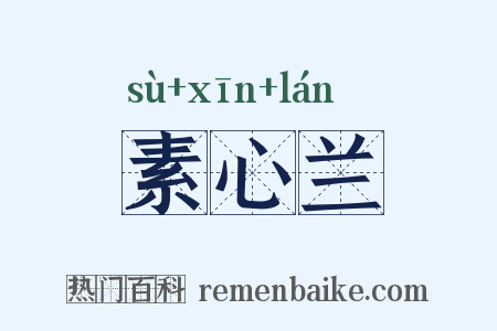 素心兰是什么意思的图片